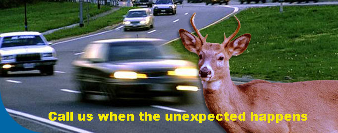 Call Carlson’s Auto Body & Collision Services when the unexpected happens